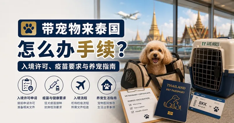 带宠物来泰国怎么办手续?入境许可、疫苗要求与养宠指南